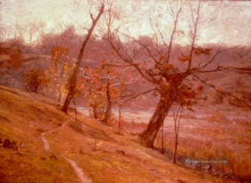  landschaften - der Blüte der Traube 1893 Impressionist Indiana Landschaften Theodore Clement Steele